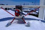 cub_on_skiis_05.JPG