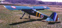 Stork1.jpg