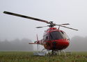 Bambi-bucket-155_resize.JPG