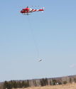 Bambi-bucket-155_resize.JPG